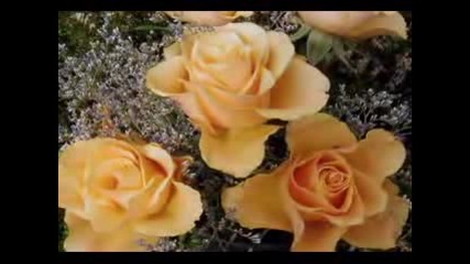 Nana Mouskouri - The Rose