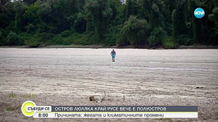 Остров Люляка - полуостров заради ниското ниво на Дунав