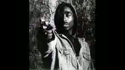 2pac So Much Pain