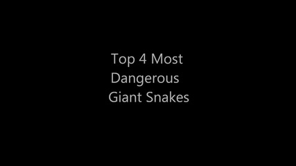 Най-опасните големи змии !