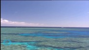 Barrier Reef Spared 'danger' Listing