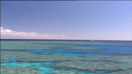 Barrier Reef Spared 'danger' Listing