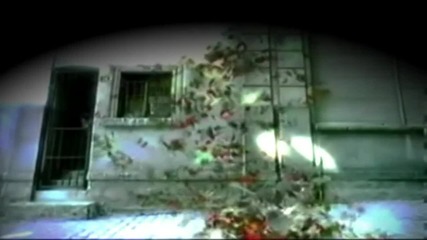 Tarkan -