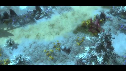 The World of Drakensang Online !!