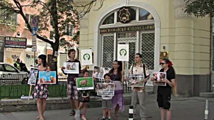 Вегани протестираха пред Главното мюфтийство в София