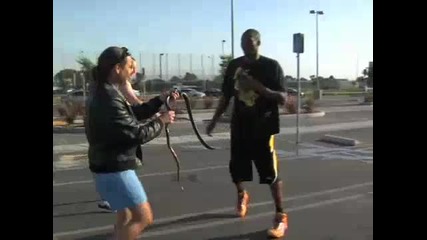Kobe jumps over a pool of snakes