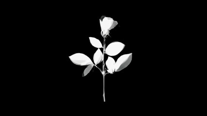 Depeche Mode - enjoy the silence (hd)