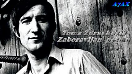 Toma Zdravkovic - Zaboravljam pesmu