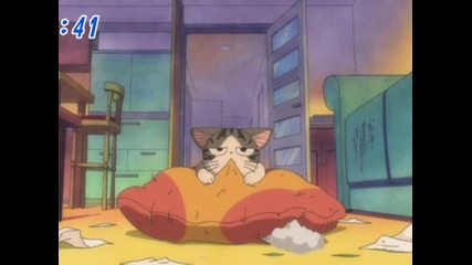 chi's sweet home 032 (bg)