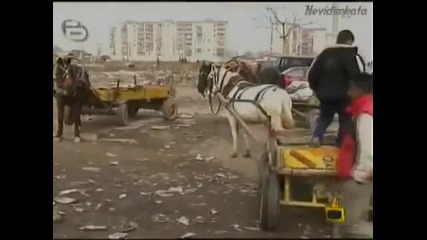 Роми Ни Учат Как Да Лъжем И Крадем! (господари На Ефира)
