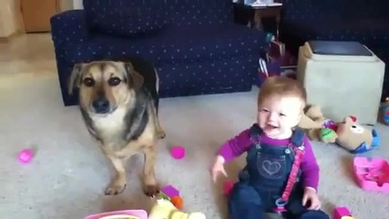 Бебе се смее на куче което яде сапунени мехурчета