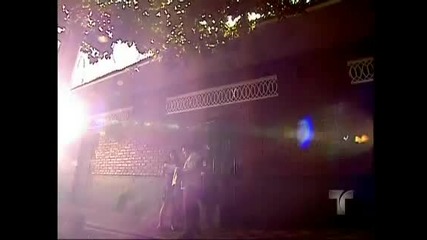 Ssnhp 205 1.1