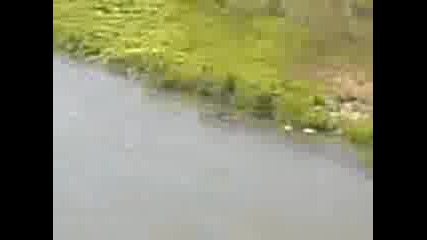 kapane v simeonovgrad 