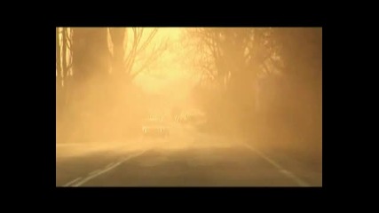 Румънеца и Енчев - Кавали 