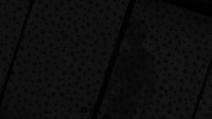 {amv} Shiki