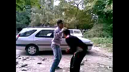 Близнаци се бият