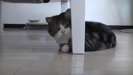 Maru is playing 10 