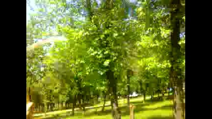 Muhtesem Savasci Is Basinda Wow 2015 Hd