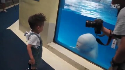 Делфин белуга се закача с малко дете , смях