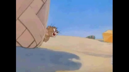Tom a Jerry - Counter Strike