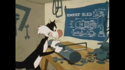 Speedy Gonzales - Cat's And Bruises