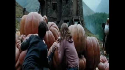 Hermione & Harry - Need To Be Next To You