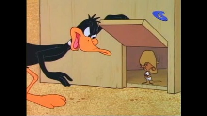 Warner Bros - 022666 Mexican Mousepiece Mm Cn 
