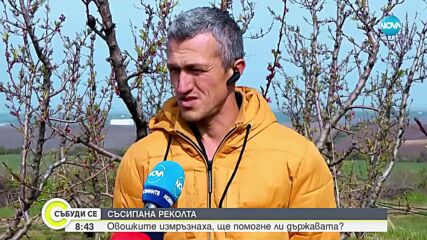 Съсипана реколта: Овошките измръзнаха, ще помогне ли държавата