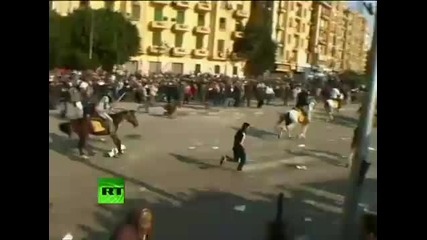 Конници атакуват протестите в Кайро - 2 част 