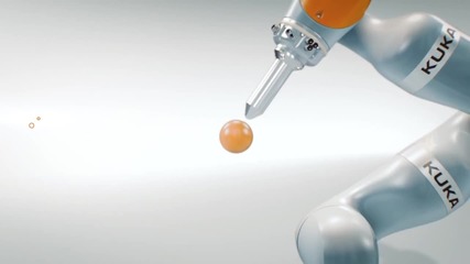 Роботизирана ръка