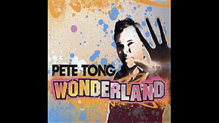 Pete Tong pres Wonderland 2008 Cd2