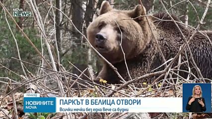 Паркът за мечки в Белица отвари врати: Животните се събудиха от зимен сън