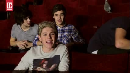One Direction - Video Diary 4