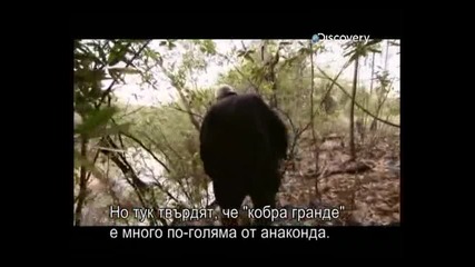 [2/2] '' Речни Чудовища '' - Убийци От Амазонка + Превод