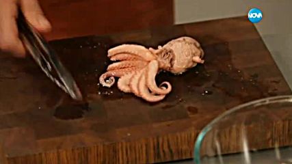 Октопод на грил тиган с гарнитура от леща - Бон Апети (10.08.2017)