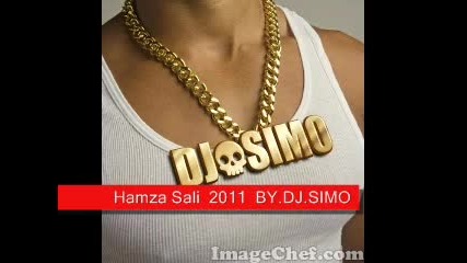 Hamza Sali - 2011