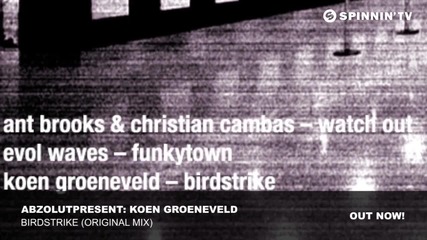 Abzolutpresent- Koen Groeneveld - Birdstrike (original Mix)