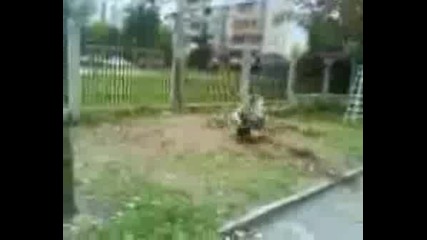 S.g.t Beast Demo Sampler 2008