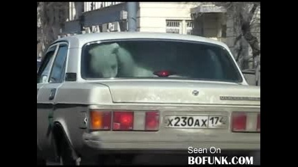 Кон в кола 