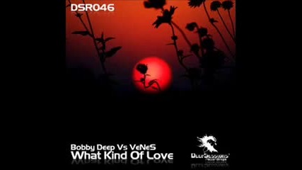 Bobby Deep amp; Venes - What Kind Of Love (kostas Skretas amp Sergi Rmx) 