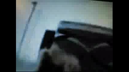 Jashley Amp Zanessa