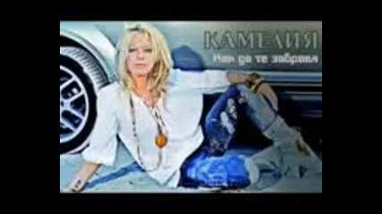 Kamelia 2010 - Kak da te zabravja mpeg4 
