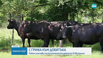 Робот улеснява селскостопанските дейности в Австралия