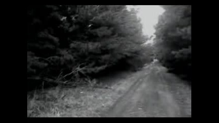 Striborg - Journey Of A Misanthrope.