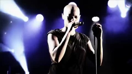 Skunk Anansie - Over the love 