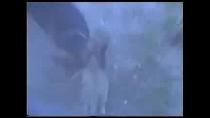 Любов Между Куче И Котка
