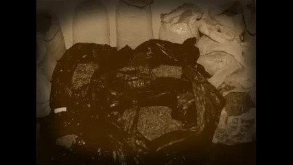 Material.wmv