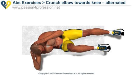 Body area - Abs (abdomen) 4