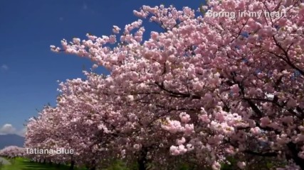 Пролетта ми е на сърцето