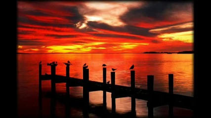 Suntree - Private Guide 